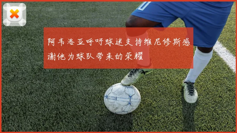 阿韦洛亚呼吁球迷支持维尼修斯感谢他为球队带来的荣耀