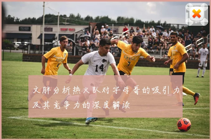 文胖分析热火队对字母哥的吸引力及其竞争力的深度解读
