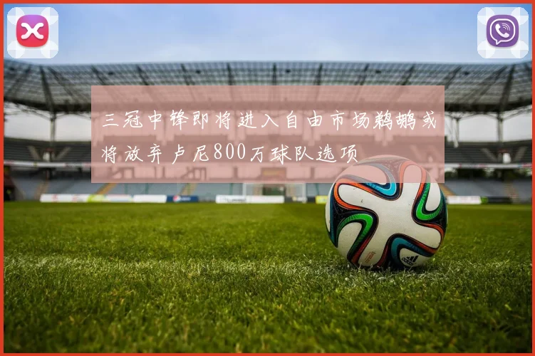 三冠中锋即将进入自由市场鹈鹕或将放弃卢尼800万球队选项