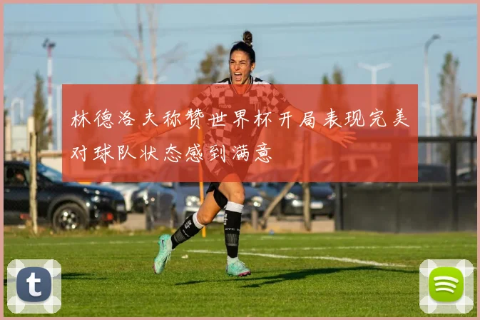 林德洛夫称赞世界杯开局表现完美对球队状态感到满意