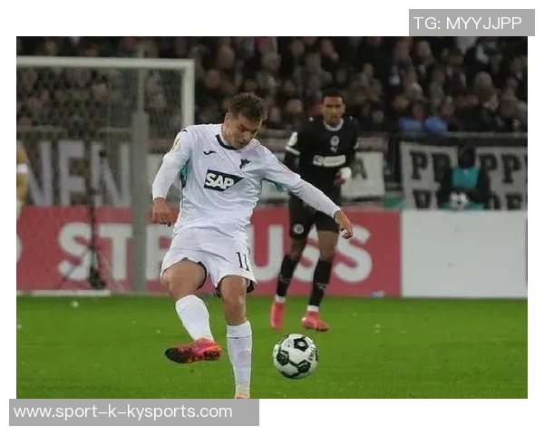 多特蒙德关注霍芬海姆前锋阿斯拉尼拜仁并不将其列为首要引援目标